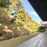 日本庭園界の日本代表が浜松に！引佐町井伊谷の「龍潭寺」