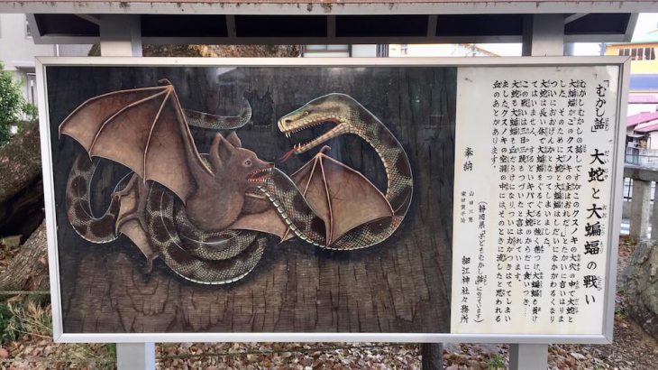 細江神社の木にまつわる伝説「大蛇と大コウモリの戦い」