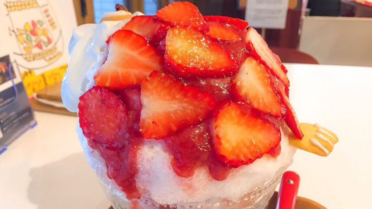 【浜松駅近カフェ】地元産フルーツと純氷を使った贅沢かき氷「kiki」