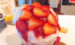 【浜松駅近カフェ】地元産フルーツと純氷を使った贅沢かき氷「kiki」